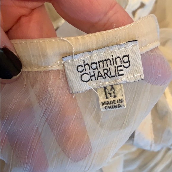Charming Charlie sheer cream, embroidered top - Picture 6 of 6